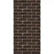 Фиброцементная плита ASTONIT ДЕКОР Коричневый №1001 Вертикаль (1200х600х9мм)